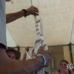 Spleißworkshop der IG16